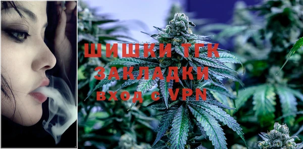 сатива Лихославль